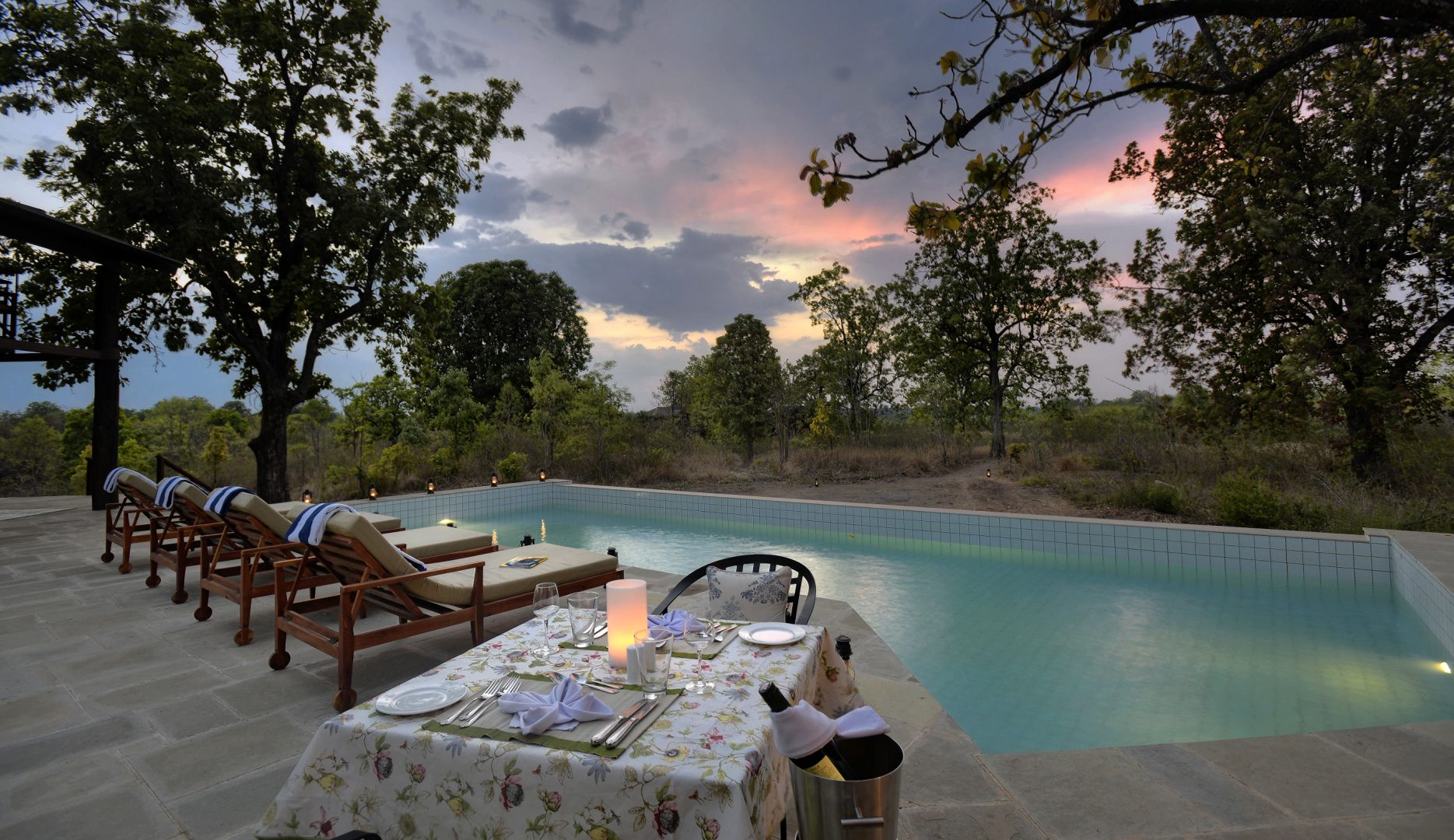 Pench tree lodge pool